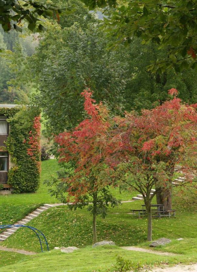 Waldblick Appartement Ober-Hambach Exteriér fotografie