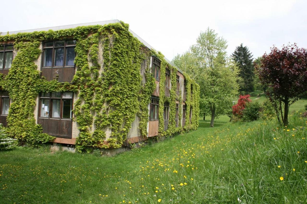 Waldblick Appartement Ober-Hambach Exteriér fotografie