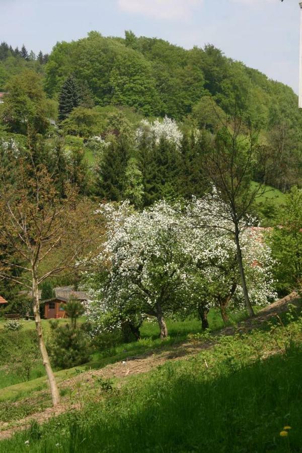 Waldblick Appartement Ober-Hambach Exteriér fotografie